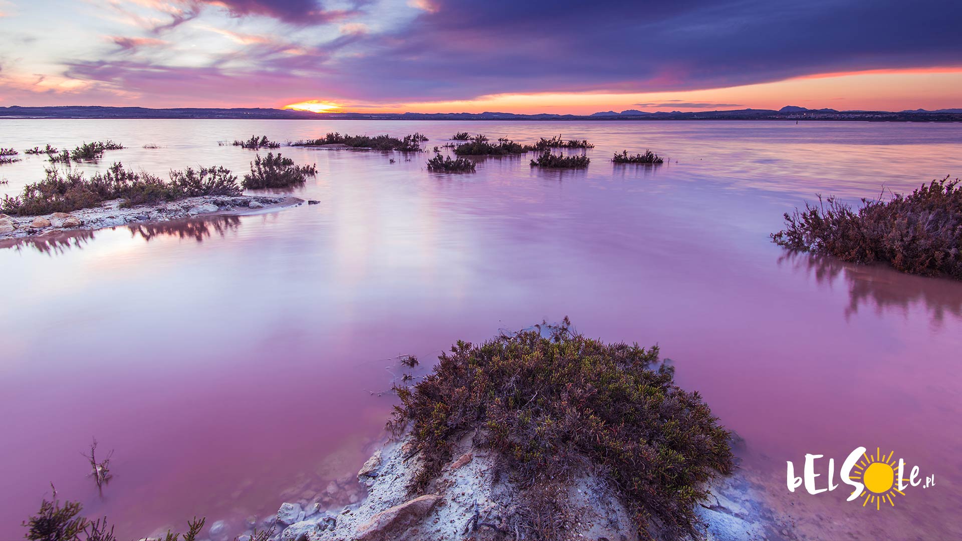 Pink Lake Laguna Salada Rosa de Torrevieja. Pink Lake in Spain