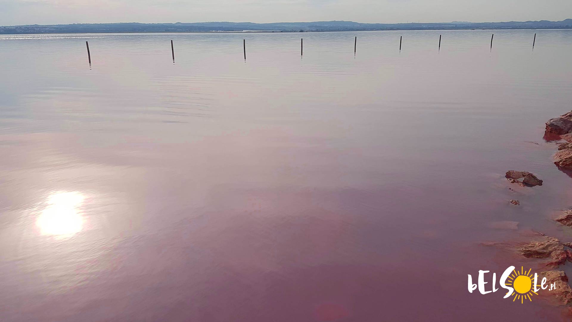 pink lake laguna rosa spain torrevieja