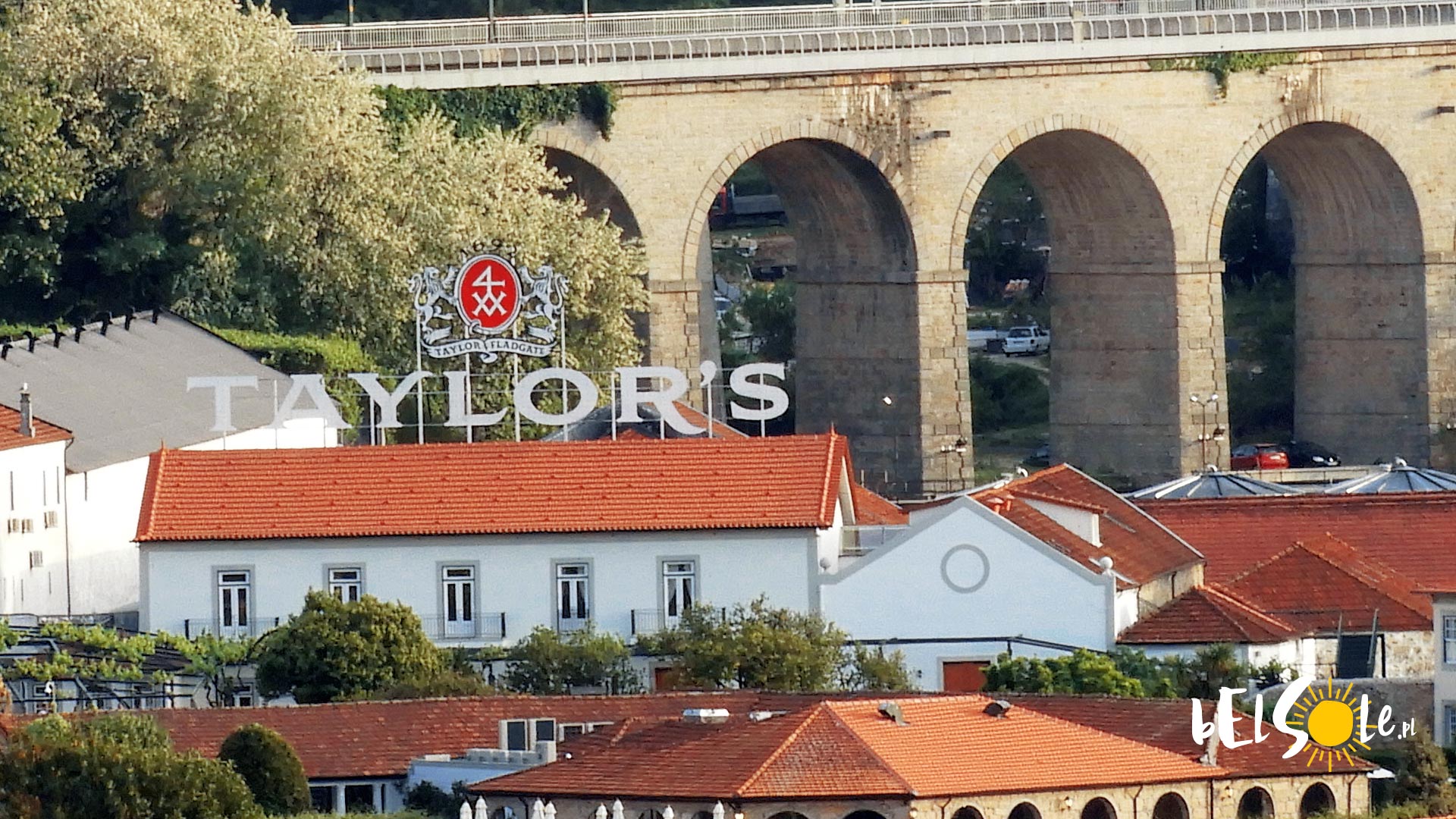 Taylors Porto