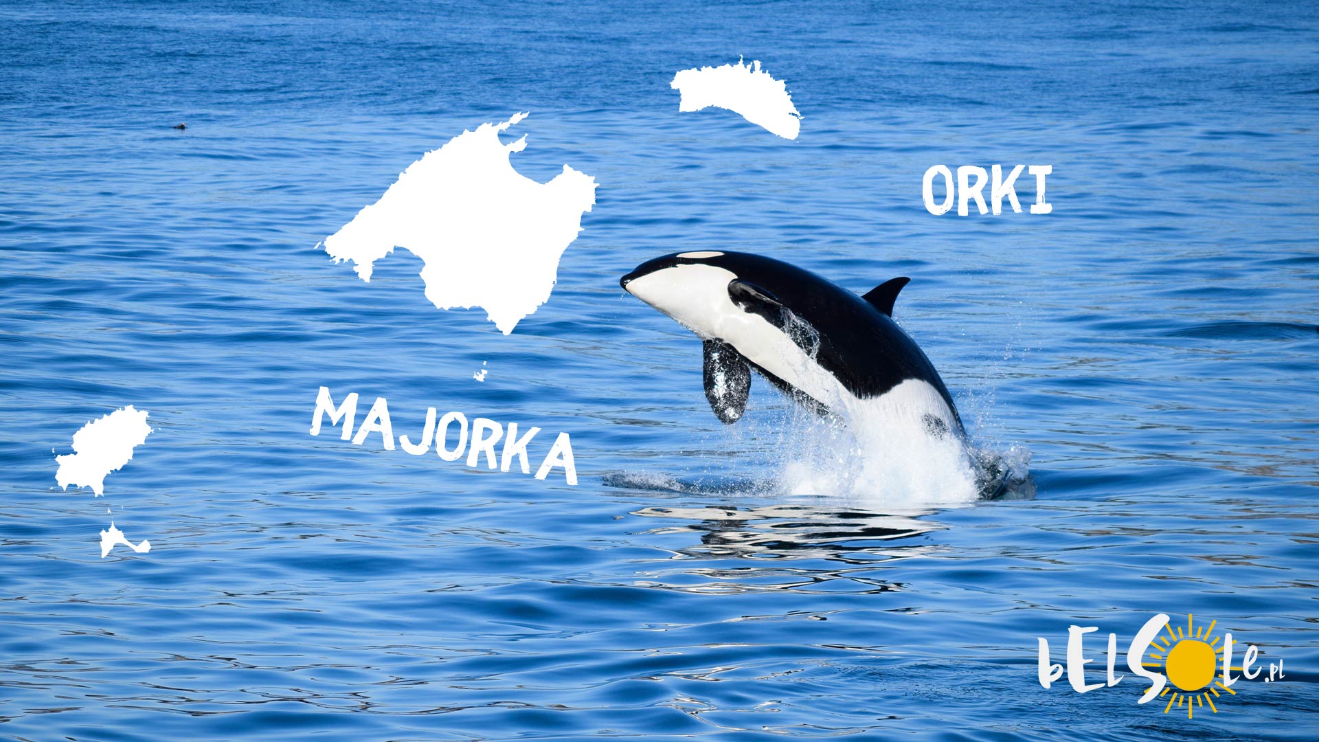 mallorca_orcas