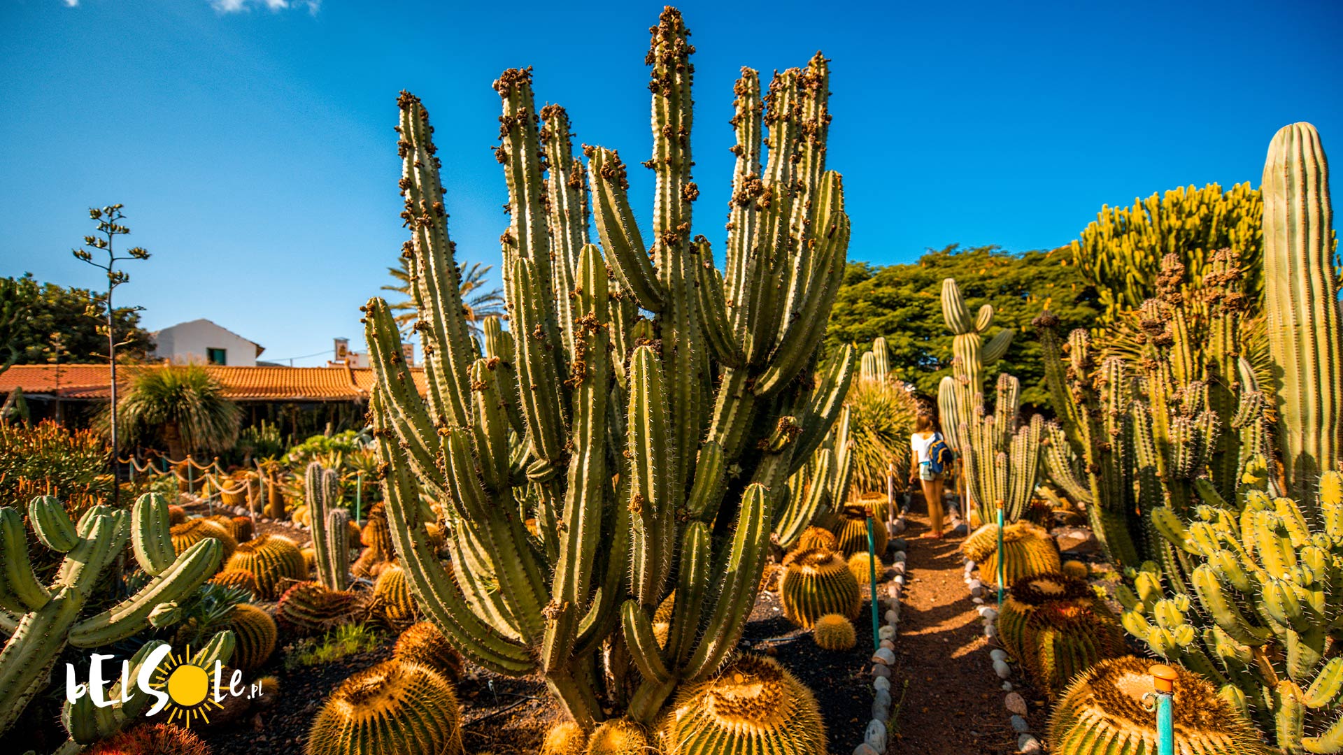 warmest_places_in_spain_june