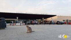 airports_in_cyprus